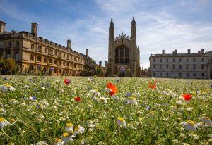 Cambridge Video Productinon