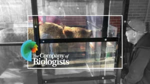 Cambridge Filmworks Video Production