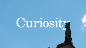 There have been 62 venture capital rounds in 2024 so far, and nearly half (29) of all rounds were raised by founders who studied at the University of Cambridge.